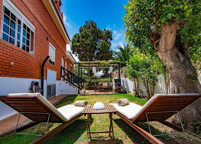 Almendros 大加那利岛拉斯帕尔马斯